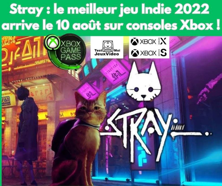 Stray - le meilleur jeu Indie 2022 arrive le 10 août 2022 sur Xbox One - Xbox Series - TestMoiJeuxVidéo.Fr